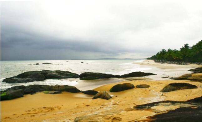 Nest Residency Hotel Kozhikode Exterior photo